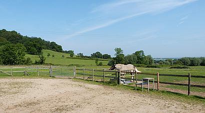 Pershore WORCESTERSHIRE