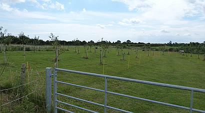 Anderby LINCOLNSHIRE