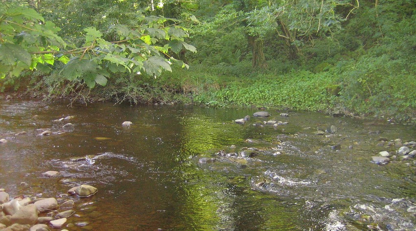 Pinwherry SOUTH AYRSHIRE