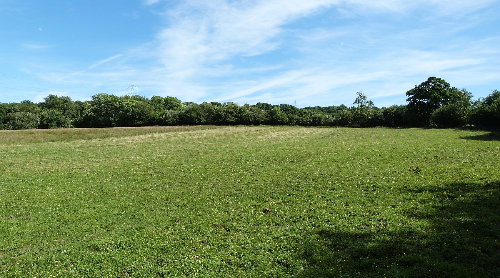 Trimsaren CARMARTHENSHIRE