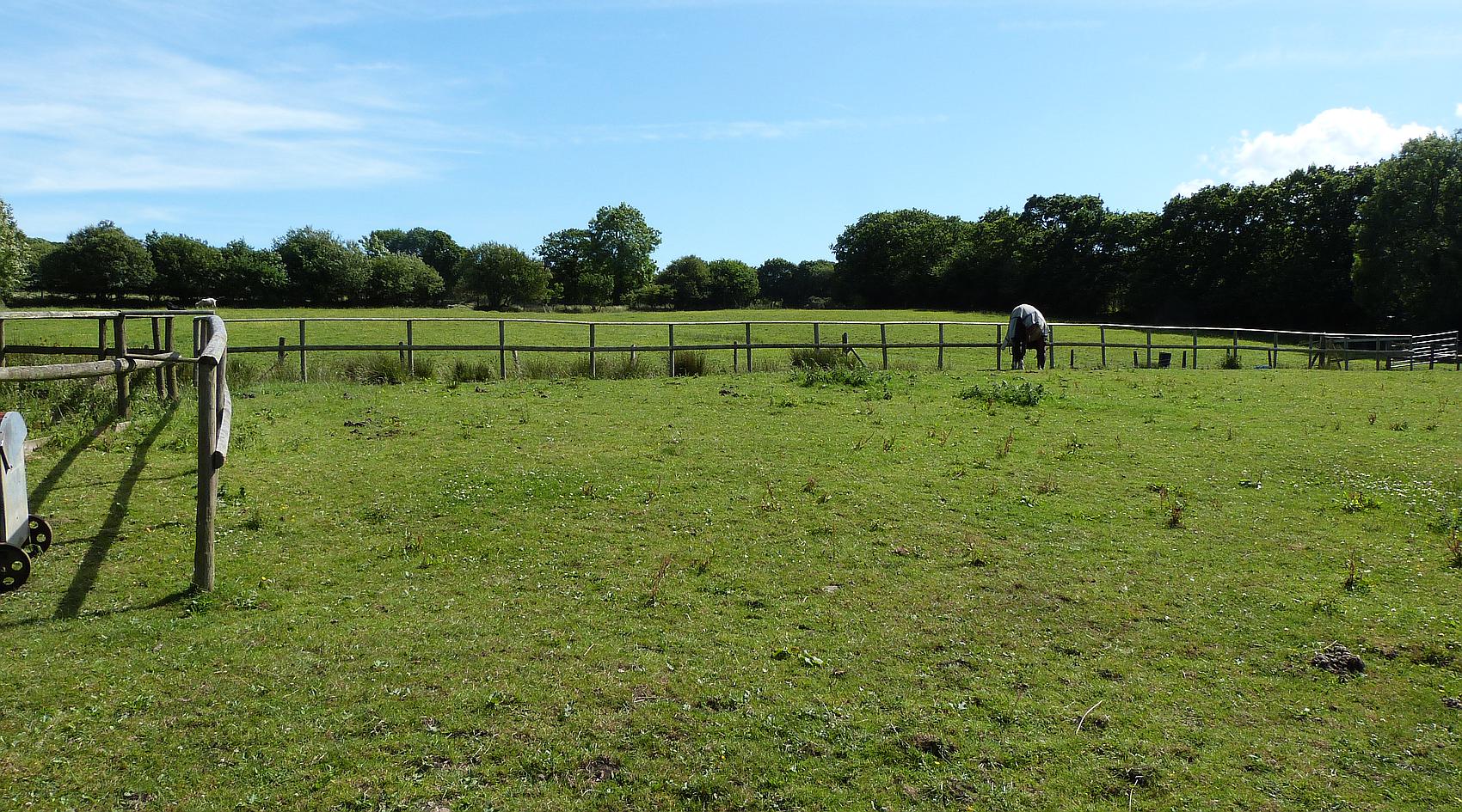 Trimsaren CARMARTHENSHIRE