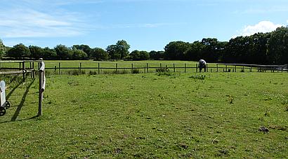 Trimsaren CARMARTHENSHIRE