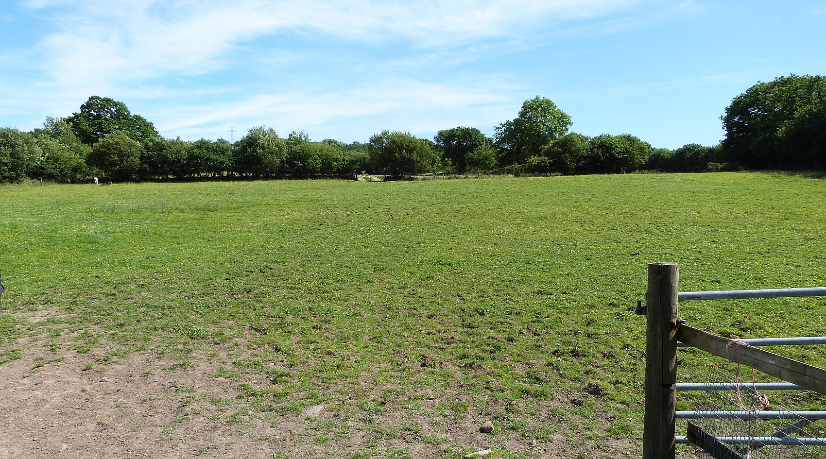 Trimsaren CARMARTHENSHIRE