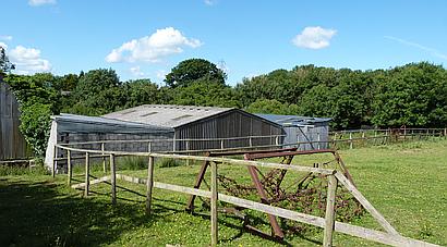 Trimsaren CARMARTHENSHIRE