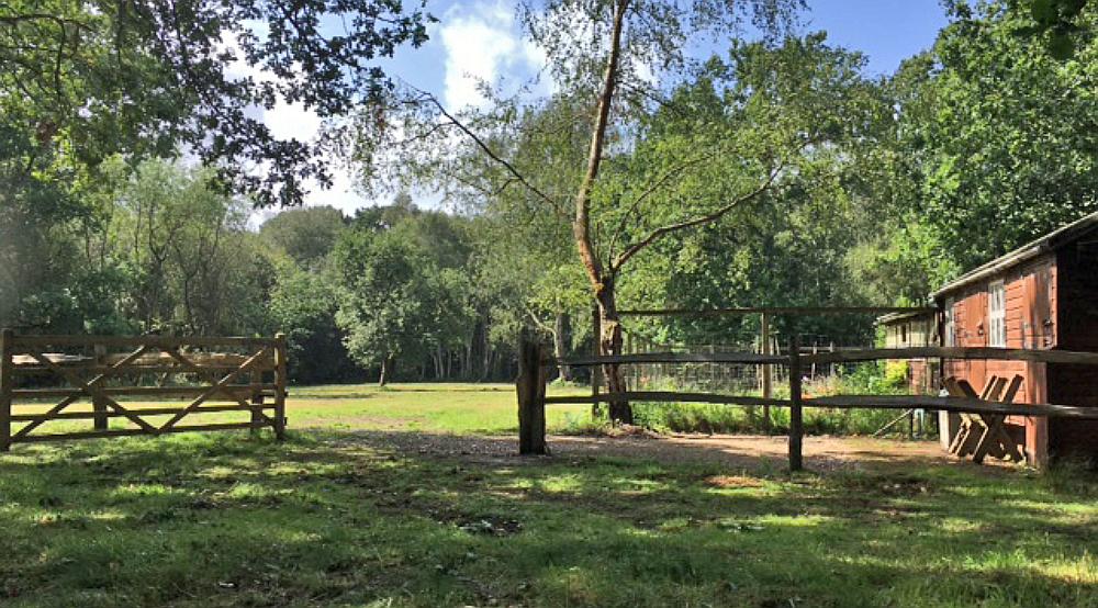 Copthorne Common WEST SUSSEX