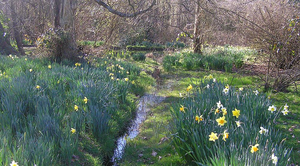 Copthorne Common WEST SUSSEX