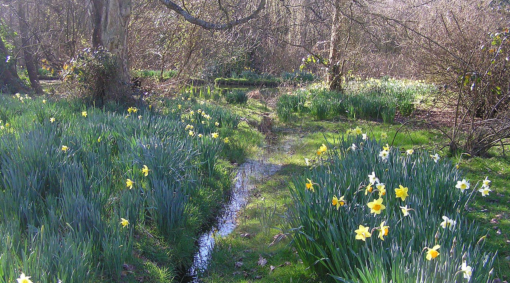 Copthorne Common WEST SUSSEX
