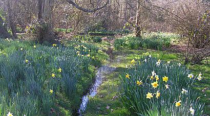 Copthorne Common WEST SUSSEX