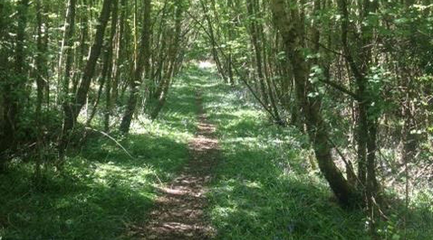 Copthorne Common WEST SUSSEX