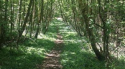 Copthorne Common WEST SUSSEX