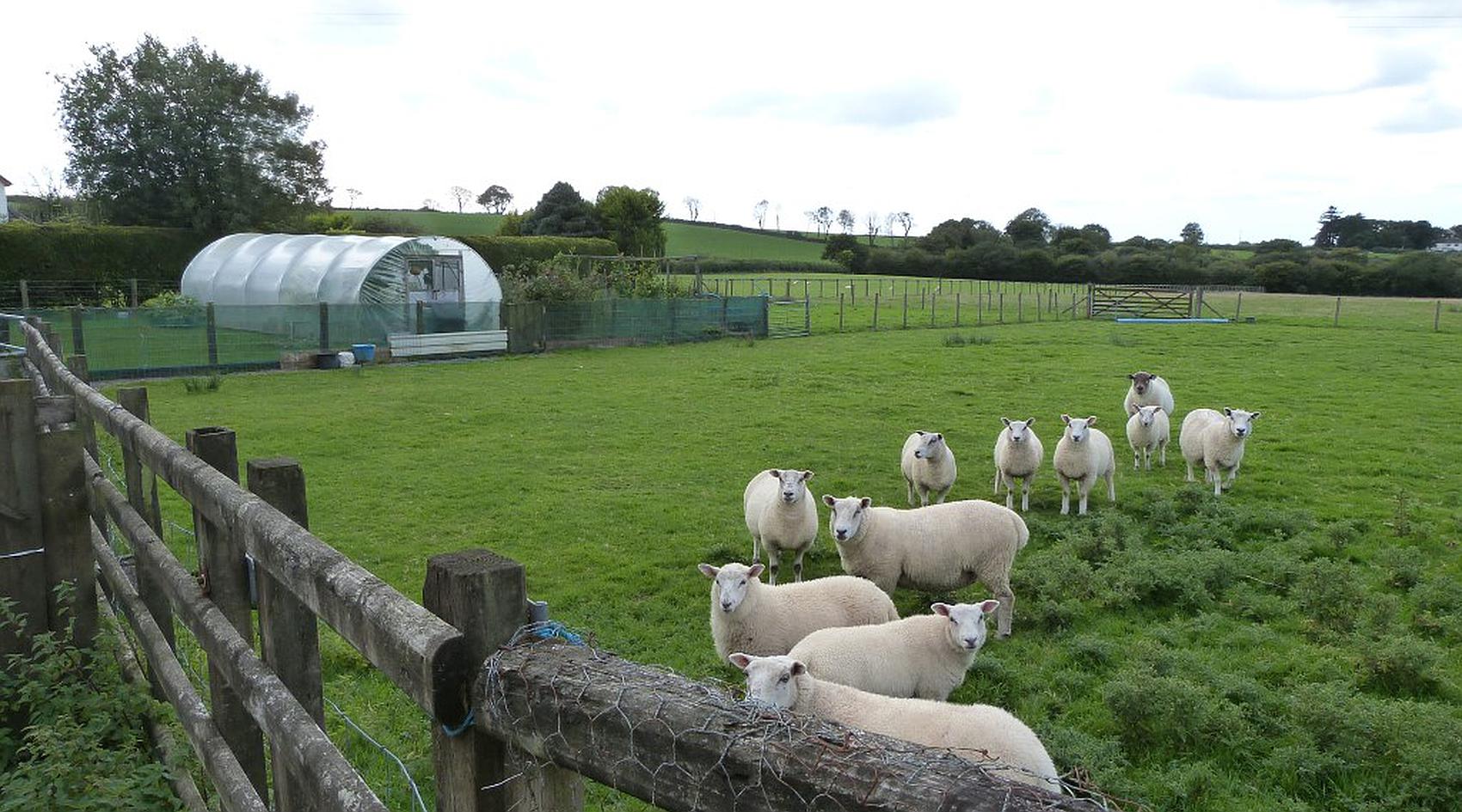 Ludchurch PEMBROKESHIRE