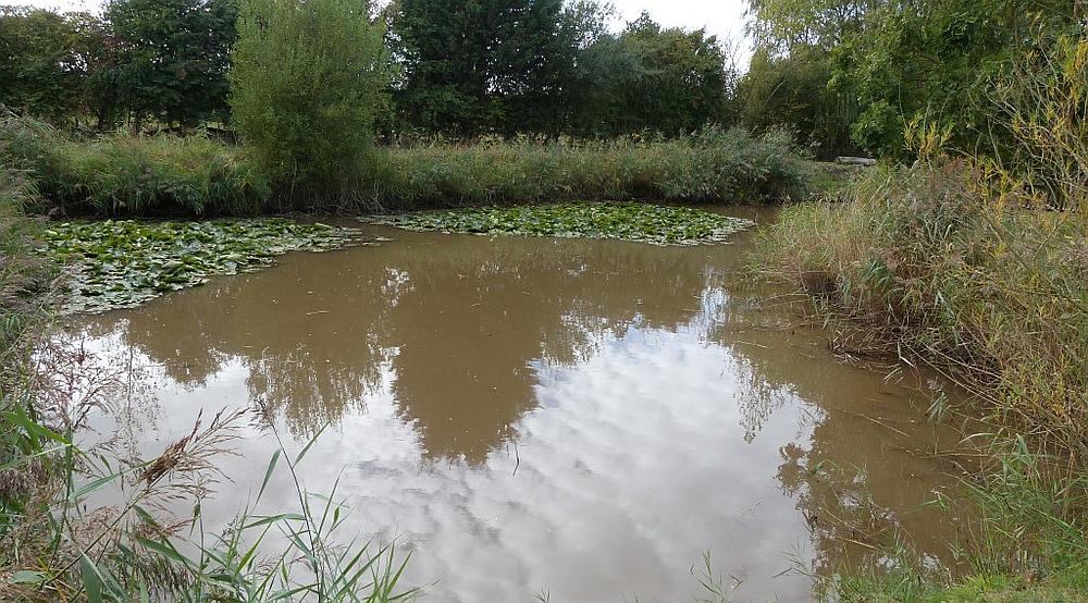 South Somercotes LINCOLNSHIRE