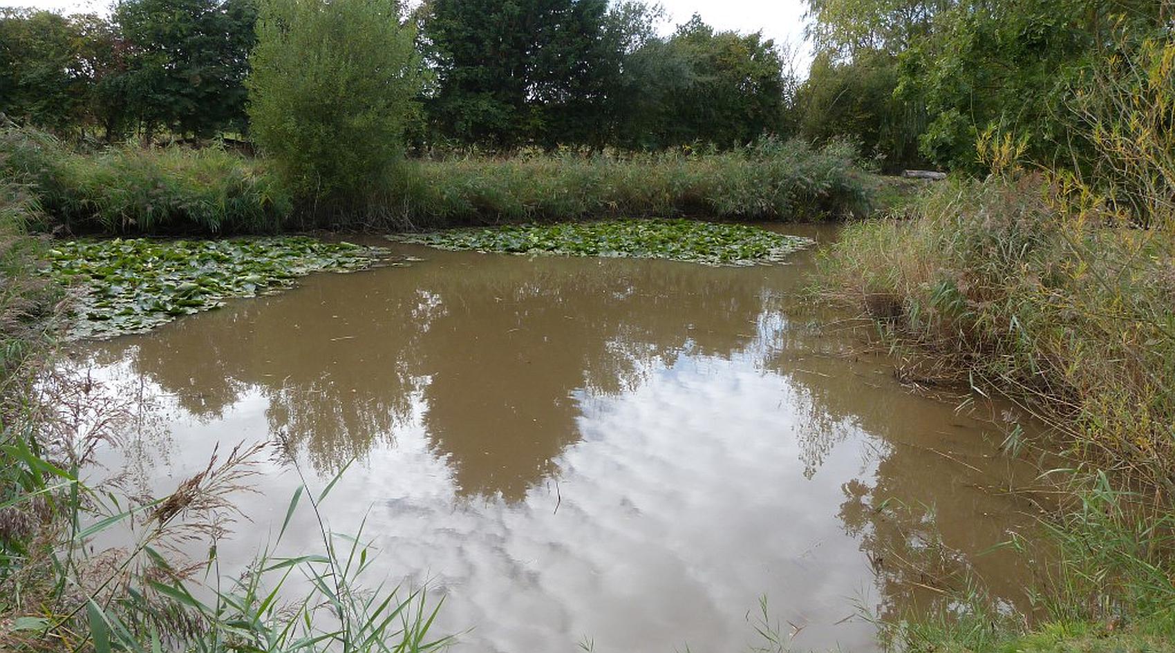 South Somercotes LINCOLNSHIRE