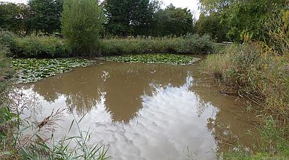 South Somercotes LINCOLNSHIRE