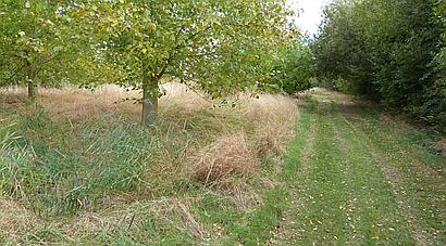 South Somercotes LINCOLNSHIRE