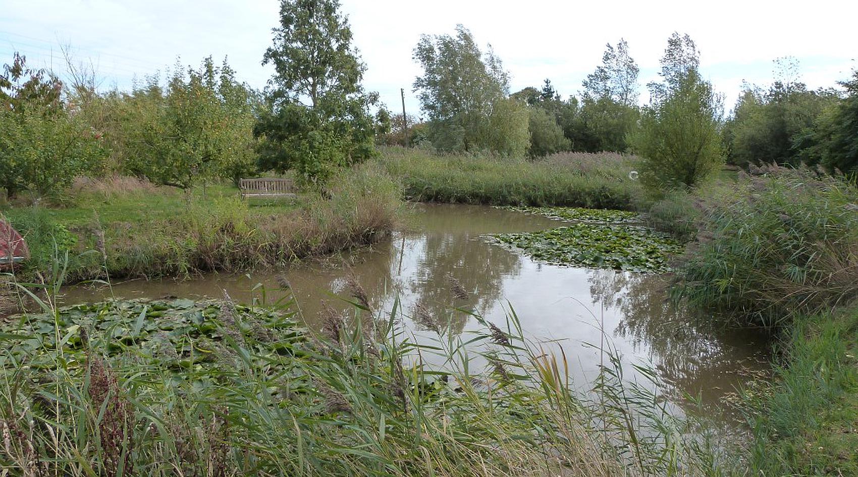 South Somercotes LINCOLNSHIRE