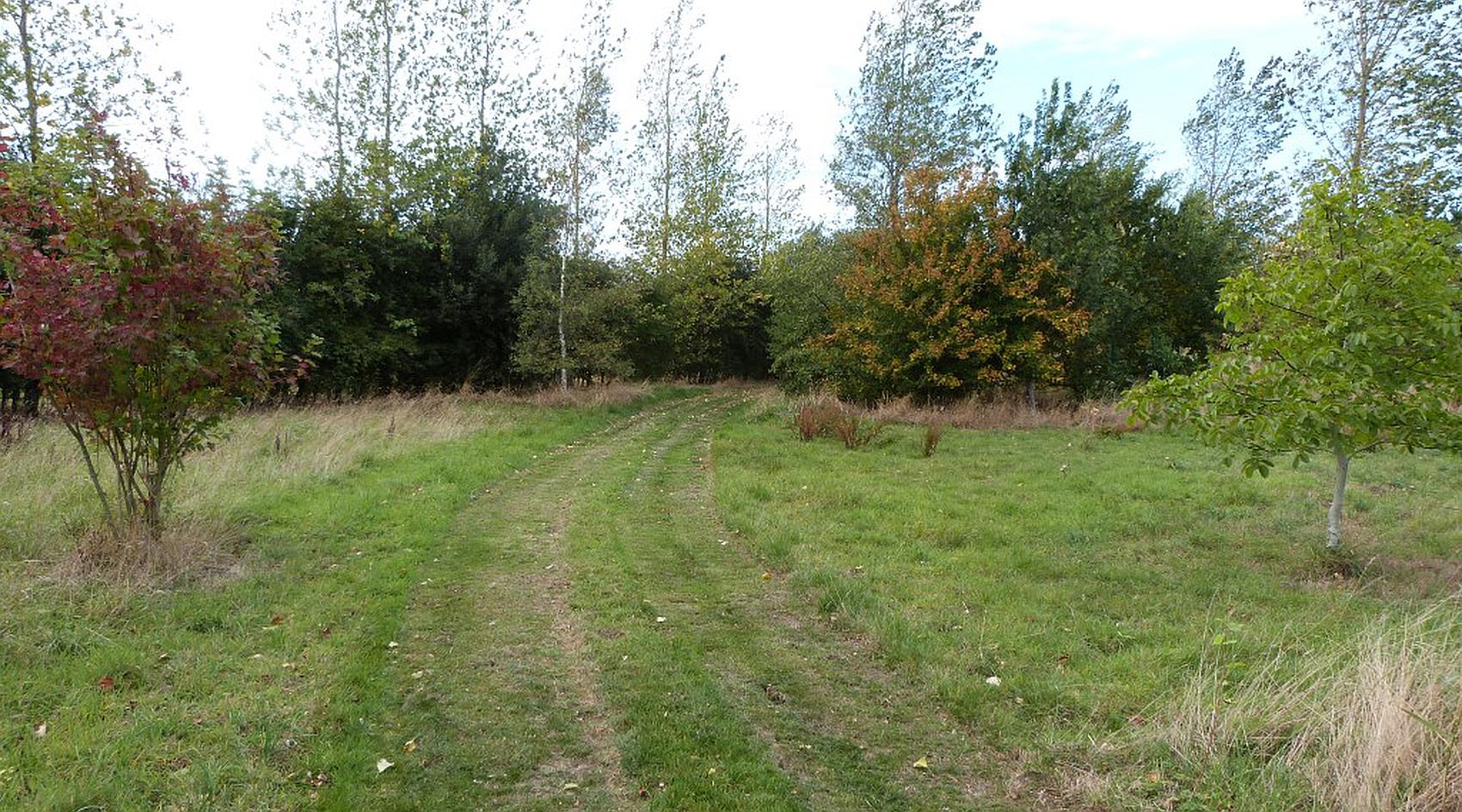 South Somercotes LINCOLNSHIRE