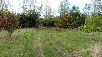 South Somercotes LINCOLNSHIRE