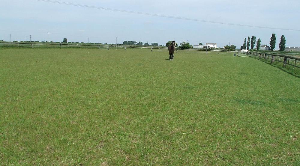 Frieston Ings LINCOLNSHIRE