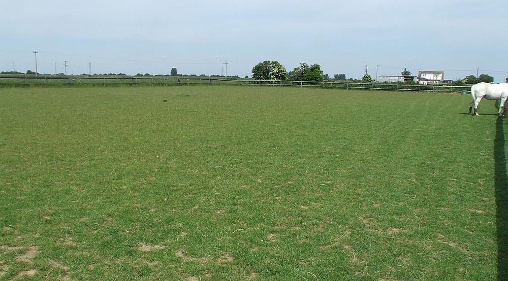 Frieston Ings LINCOLNSHIRE