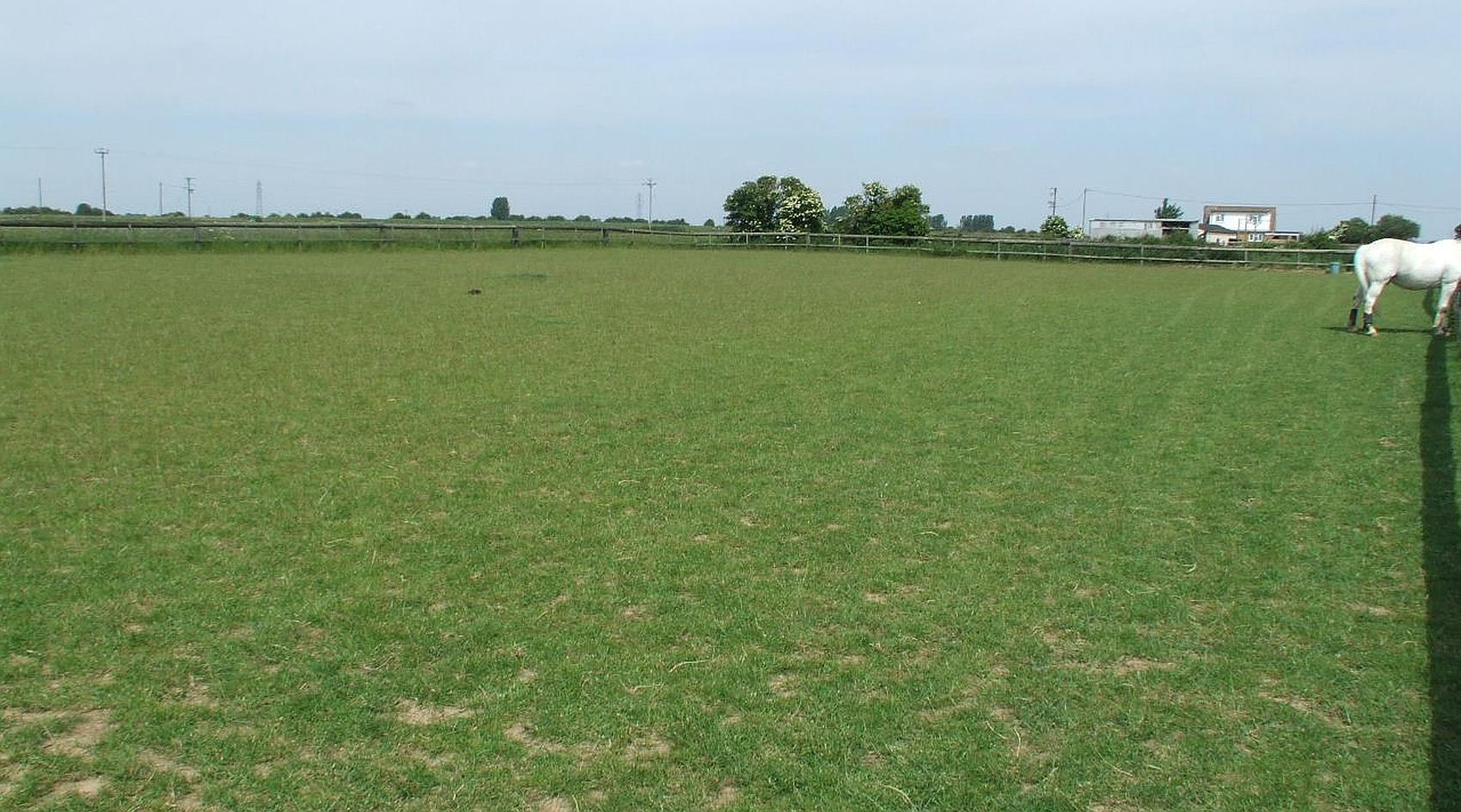 Frieston Ings LINCOLNSHIRE