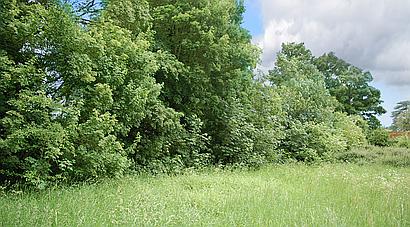 Over Wallop HAMPSHIRE