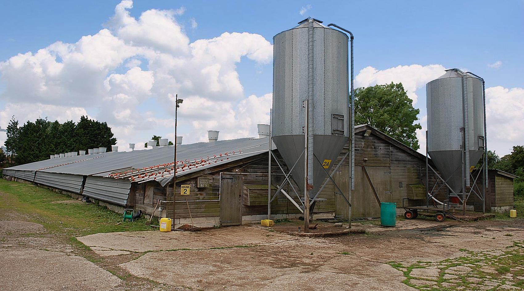 Over Wallop HAMPSHIRE